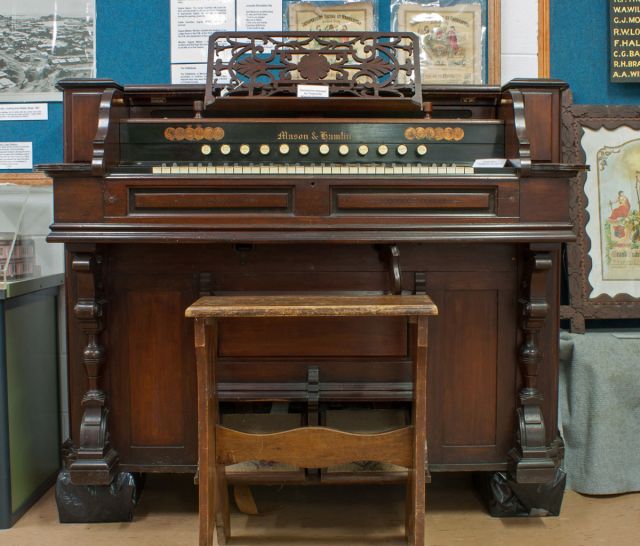 organ